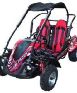 BLAZER200R RE For Sale