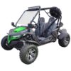 Green UTV DELUXE CHEETAH 200X For Sale