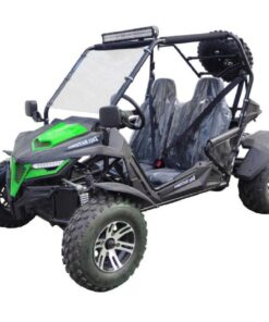 Green UTV DELUXE CHEETAH 200X For Sale